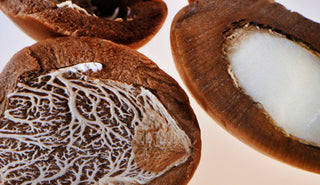 The Pros and Cons of Single-Ingredient Skincare